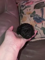 processed/ebf5442d-1d51-47d6-b3b5-c3fc4f453a58/listing/45f9d7f0-9586-4c6f-a3ed-86e58026e63b/c1da4239-7879-4ef8-bec7-d59818e3dc25