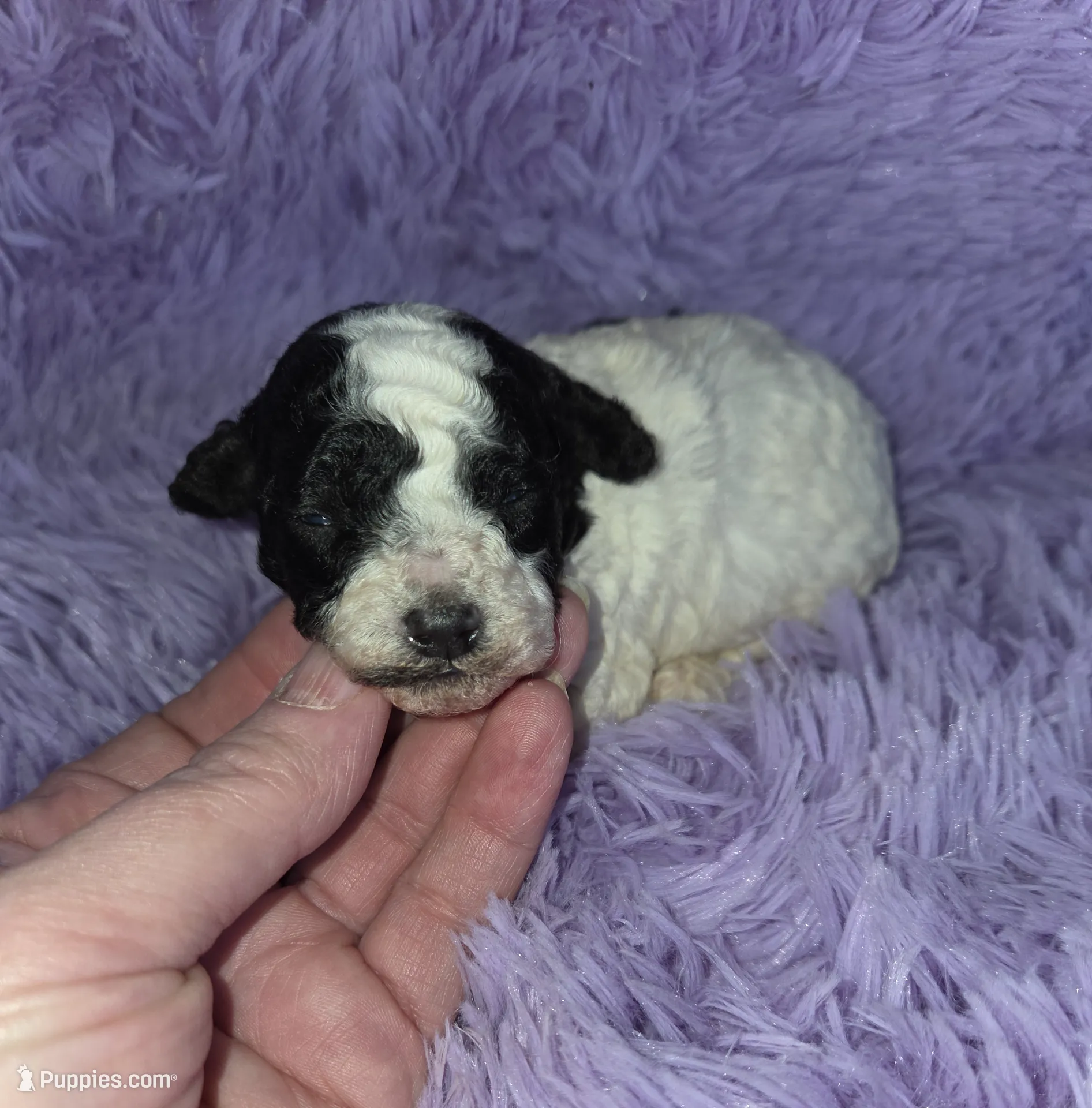 processed/ebf5442d-1d51-47d6-b3b5-c3fc4f453a58/listing/4a56fc15-3d92-4df0-ac10-5ceaf572dd8b/296b6bad-787e-4cc8-97f4-0759a7318bbe