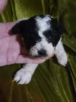 processed/ebf5442d-1d51-47d6-b3b5-c3fc4f453a58/listing/4a56fc15-3d92-4df0-ac10-5ceaf572dd8b/7d42802a-7d28-42b8-b763-203ecfa1420e