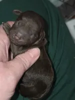 processed/ebf5442d-1d51-47d6-b3b5-c3fc4f453a58/listing/5130a708-26b6-492f-9812-909c3d741019/82e9c9bb-c7f3-4030-b3fe-75da03e18fef