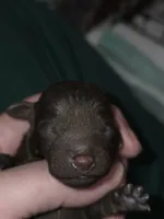 processed/ebf5442d-1d51-47d6-b3b5-c3fc4f453a58/listing/5130a708-26b6-492f-9812-909c3d741019/d6cbc4ae-ab63-477d-824a-7ca983f510a0