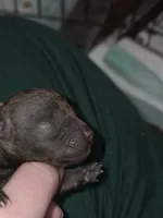 processed/ebf5442d-1d51-47d6-b3b5-c3fc4f453a58/listing/5130a708-26b6-492f-9812-909c3d741019/e95ed2c2-8126-4d5b-ba45-566434b90583