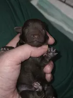 processed/ebf5442d-1d51-47d6-b3b5-c3fc4f453a58/listing/5130a708-26b6-492f-9812-909c3d741019/fed2633c-d9dd-4b5e-8237-b436ce2f4a0c