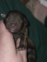 processed/ebf5442d-1d51-47d6-b3b5-c3fc4f453a58/listing/56cc533c-493e-4314-a041-58fe8b5f24a5/3b264f59-b267-419c-bb48-963b6e924413