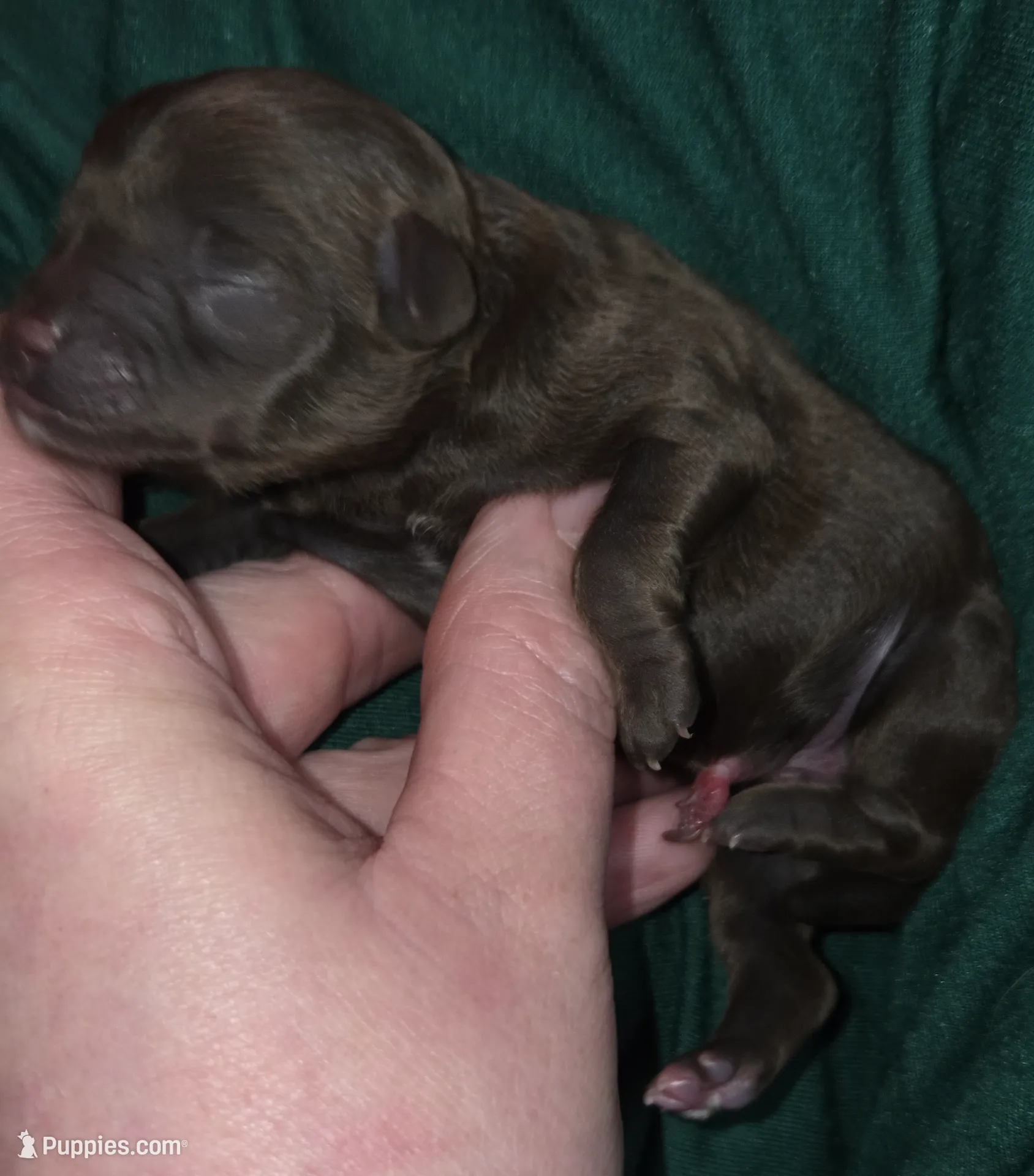 processed/ebf5442d-1d51-47d6-b3b5-c3fc4f453a58/listing/56cc533c-493e-4314-a041-58fe8b5f24a5/734c1ff8-0826-4b53-905d-ef48ffe8dcb1