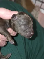 processed/ebf5442d-1d51-47d6-b3b5-c3fc4f453a58/listing/56cc533c-493e-4314-a041-58fe8b5f24a5/9119b422-4050-4d85-8c6c-e25646188ef5