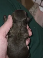 processed/ebf5442d-1d51-47d6-b3b5-c3fc4f453a58/listing/56cc533c-493e-4314-a041-58fe8b5f24a5/9f1434d4-69e3-4d10-8edf-9fe90e55c734