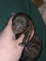 processed/ebf5442d-1d51-47d6-b3b5-c3fc4f453a58/listing/56cc533c-493e-4314-a041-58fe8b5f24a5/ffd7ec84-fc0a-46c8-88a1-bf793b98e106