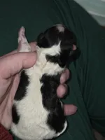 processed/ebf5442d-1d51-47d6-b3b5-c3fc4f453a58/listing/849488ab-098c-40a9-b593-b9c076e9f2b6/d1c9a712-84b1-496f-9735-0c7498cb0b3f