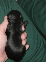 processed/ebf5442d-1d51-47d6-b3b5-c3fc4f453a58/listing/b83fd32f-936e-447f-bd5a-5835eb50794a/216f4028-b000-4758-b2eb-68a4705be8a0