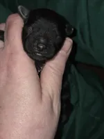 processed/ebf5442d-1d51-47d6-b3b5-c3fc4f453a58/listing/b83fd32f-936e-447f-bd5a-5835eb50794a/4e95ed04-e031-4476-8631-02e4a45f3fe6