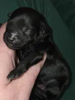 processed/ebf5442d-1d51-47d6-b3b5-c3fc4f453a58/listing/b83fd32f-936e-447f-bd5a-5835eb50794a/837c5365-73b4-4a17-b329-2abcddb65eb4