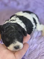 processed/ebf5442d-1d51-47d6-b3b5-c3fc4f453a58/listing/bf516705-2772-46a3-9d4f-db49a214e6a0/12676b8a-801b-4bb8-a9f7-f68817a0b012