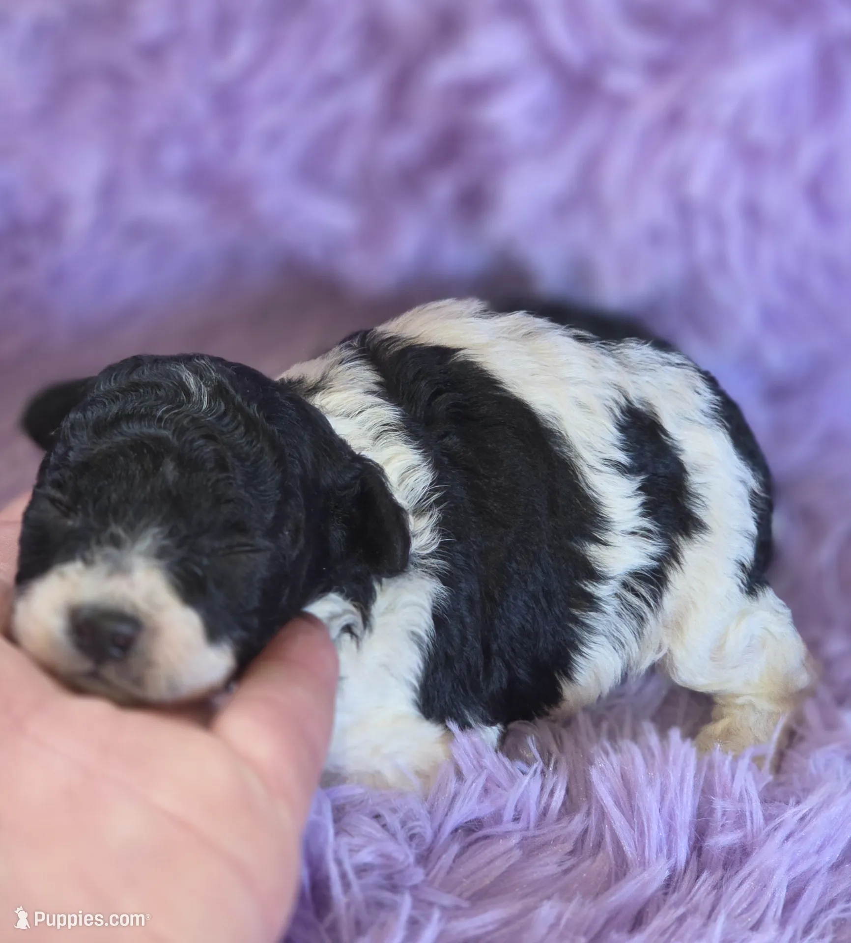 processed/ebf5442d-1d51-47d6-b3b5-c3fc4f453a58/listing/bf516705-2772-46a3-9d4f-db49a214e6a0/e3b3af25-6593-430f-a1e9-3f62928070e2