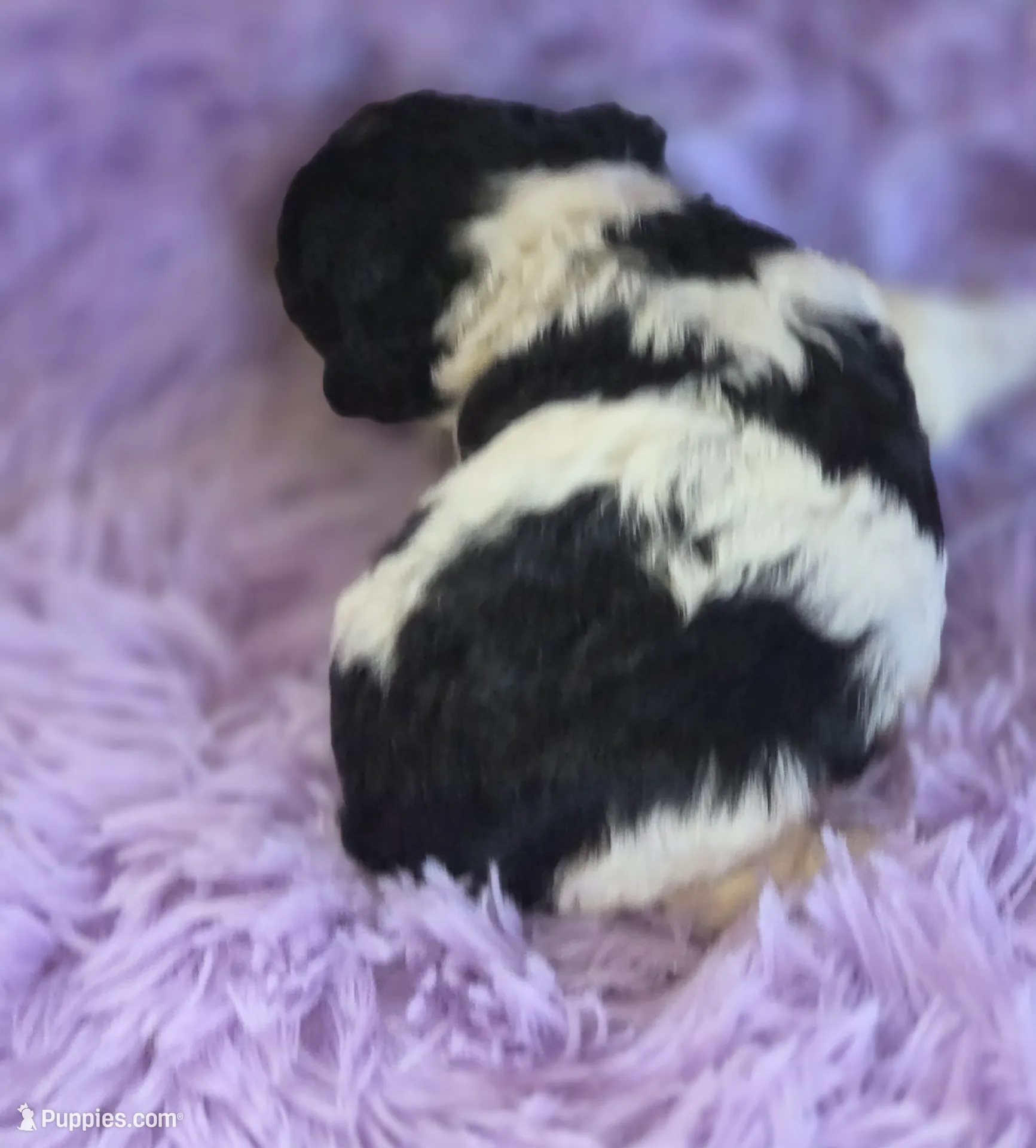 processed/ebf5442d-1d51-47d6-b3b5-c3fc4f453a58/listing/bf516705-2772-46a3-9d4f-db49a214e6a0/fd73977f-6bf6-422e-b416-105240c50d23