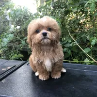 processed/ebf8165f-2352-4bf4-b112-2d5437407a81/facility/4427e28e-530b-43f3-88ee-0214dd305383