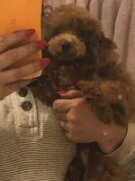 processed/ebf8165f-2352-4bf4-b112-2d5437407a81/facility/44654ca2-ebff-47d8-9e43-0491e44c4a31