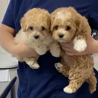 processed/ebf8165f-2352-4bf4-b112-2d5437407a81/facility/455501f2-1dfa-427a-8efb-3445cff845cb