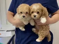 processed/ebf8165f-2352-4bf4-b112-2d5437407a81/facility/455501f2-1dfa-427a-8efb-3445cff845cb