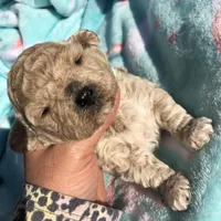 processed/ebf8165f-2352-4bf4-b112-2d5437407a81/facility/b012dc8e-4461-40d2-a853-e5cab8ea1f8d