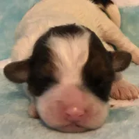 processed/ebf8165f-2352-4bf4-b112-2d5437407a81/facility/d3f0e92e-0bce-40f0-b549-d10477173912