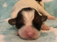 processed/ebf8165f-2352-4bf4-b112-2d5437407a81/facility/d3f0e92e-0bce-40f0-b549-d10477173912