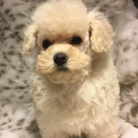 processed/ebf8165f-2352-4bf4-b112-2d5437407a81/facility/ddbc969f-5ff8-431c-bf28-87d2cb722a16