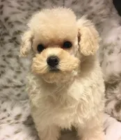 processed/ebf8165f-2352-4bf4-b112-2d5437407a81/facility/ddbc969f-5ff8-431c-bf28-87d2cb722a16