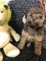 processed/ebf8165f-2352-4bf4-b112-2d5437407a81/facility/e9ba550c-f30f-40e2-b2b9-1eb29c45e38d