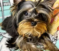 processed/ebf8165f-2352-4bf4-b112-2d5437407a81/listing/0e983d01-85a3-4180-82b0-2600027ec04a/0925b552-b689-4b17-8dbc-d20040e067eb