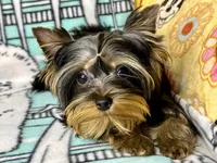 processed/ebf8165f-2352-4bf4-b112-2d5437407a81/listing/0e983d01-85a3-4180-82b0-2600027ec04a/3340c650-32a8-44f5-9f4b-5f5640c8e155