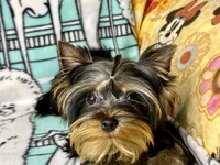 processed/ebf8165f-2352-4bf4-b112-2d5437407a81/listing/0e983d01-85a3-4180-82b0-2600027ec04a/474a88ab-0c46-450c-9a38-3b9a271cb90a