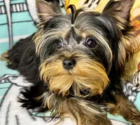 processed/ebf8165f-2352-4bf4-b112-2d5437407a81/listing/0e983d01-85a3-4180-82b0-2600027ec04a/9396f22b-bfc2-410d-89a7-0dd7bcae4571