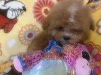 processed/ebf8165f-2352-4bf4-b112-2d5437407a81/listing/9143edd7-cdf5-4e14-b34f-bad1324a929b/744aa4a8-9c34-49b6-8e47-e5f701caaf64