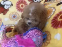 processed/ebf8165f-2352-4bf4-b112-2d5437407a81/listing/9143edd7-cdf5-4e14-b34f-bad1324a929b/e563cc7d-f8a0-41cb-ae7c-2d160c8cff02