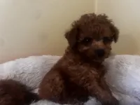 processed/ebf8165f-2352-4bf4-b112-2d5437407a81/listing/b1a55af0-054f-461c-a352-a155f18c0a9a/32adf06d-1d53-4239-983b-e36b293bea8e