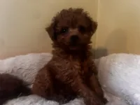 processed/ebf8165f-2352-4bf4-b112-2d5437407a81/listing/b1a55af0-054f-461c-a352-a155f18c0a9a/3f7512b5-1de5-4af2-bd1e-37ef4fb7f076