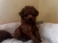 processed/ebf8165f-2352-4bf4-b112-2d5437407a81/listing/b1a55af0-054f-461c-a352-a155f18c0a9a/66161068-5ac5-465f-8bce-b90e1b12050b