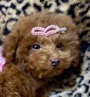 processed/ebf8165f-2352-4bf4-b112-2d5437407a81/listing/e4662f3e-4ba2-48e5-bfc2-c64e24564510/59c46cf7-8549-4bac-89a5-93afbfaabbf7