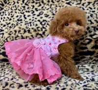 processed/ebf8165f-2352-4bf4-b112-2d5437407a81/listing/e4662f3e-4ba2-48e5-bfc2-c64e24564510/8df02407-d063-4506-a828-a86755cb87fa