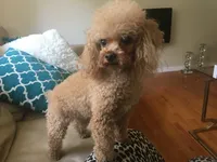 processed/ebf8165f-2352-4bf4-b112-2d5437407a81/listing/e4662f3e-4ba2-48e5-bfc2-c64e24564510/cfd023f9-cacc-4fb8-8502-0b0891a4642d