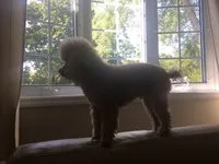 processed/ebf8165f-2352-4bf4-b112-2d5437407a81/listing/e4662f3e-4ba2-48e5-bfc2-c64e24564510/d3b08f64-0843-48d0-9ce0-0b575d4d836d