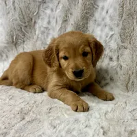 processed/ec08784c-28e0-4999-b70e-462f0fa8191e/listing/ff23fa7a-6bb5-41b8-ba0e-719bf25f5c18/08f0b582-6753-45a9-9511-49bf7dee94c5