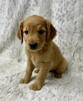 processed/ec08784c-28e0-4999-b70e-462f0fa8191e/listing/ff23fa7a-6bb5-41b8-ba0e-719bf25f5c18/184c1bf3-04b4-437b-a7ec-126482c9428d