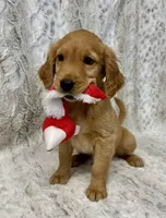 processed/ec08784c-28e0-4999-b70e-462f0fa8191e/listing/ff23fa7a-6bb5-41b8-ba0e-719bf25f5c18/21594706-c0af-4f81-a4db-24c8ded86c77