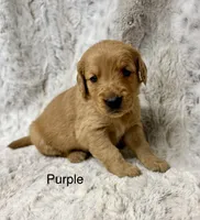 processed/ec08784c-28e0-4999-b70e-462f0fa8191e/listing/ff23fa7a-6bb5-41b8-ba0e-719bf25f5c18/3ff1ebed-6f45-4d89-8912-72d8c667ecae