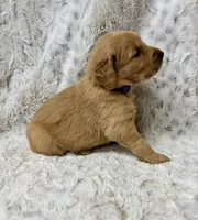 processed/ec08784c-28e0-4999-b70e-462f0fa8191e/listing/ff23fa7a-6bb5-41b8-ba0e-719bf25f5c18/714f5e23-93cb-4c94-b819-fb9a958737e9