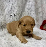 processed/ec08784c-28e0-4999-b70e-462f0fa8191e/listing/ff23fa7a-6bb5-41b8-ba0e-719bf25f5c18/a0b58284-818a-4eda-afe5-dc7cb1106c4f