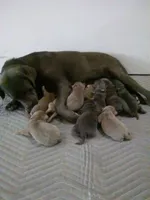 processed/ec22e147-1236-4d02-a60a-b0fcca1ffe1e/listing/2d52c585-57a9-4e29-ac86-50eb7c6438cc/0c1ee935-cfc9-466a-92b7-054288ee0b28