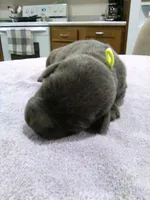 processed/ec22e147-1236-4d02-a60a-b0fcca1ffe1e/listing/2d52c585-57a9-4e29-ac86-50eb7c6438cc/1080509e-2724-4e87-9aa8-1cba85f39e54